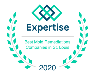 best mold remediation company in st. louis